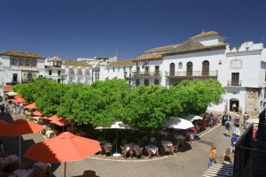 Plaza de los naranjos Marbella egyik legnépszerűbb parkja. Méltón nevéhez telis-tele narancsfákkal.